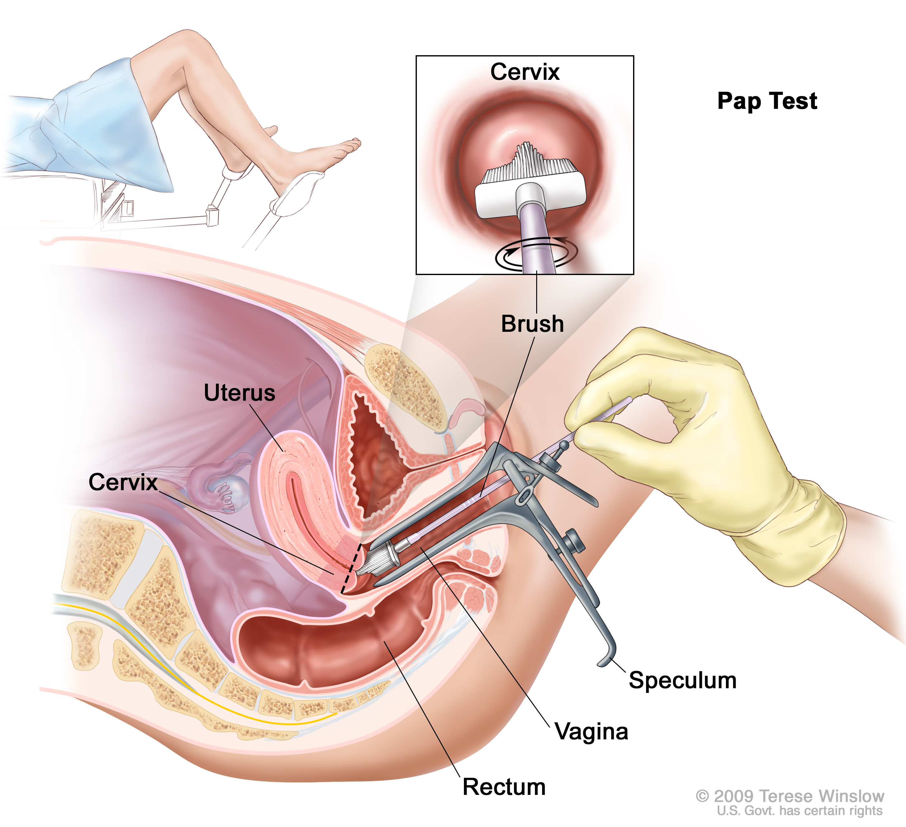 pros and cons of dating a female virgin