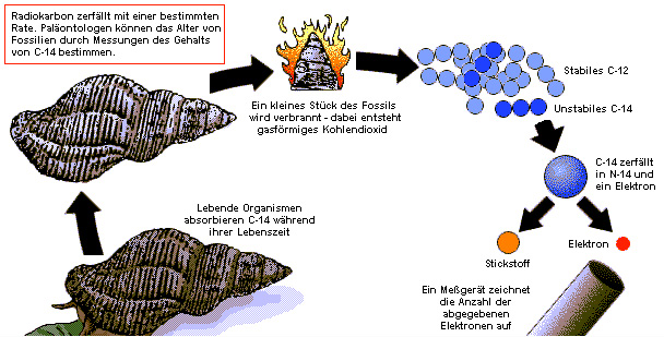 radiocarbon dating igneous rocks