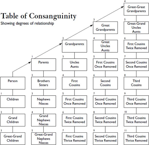 dating 3rd cousin once removed