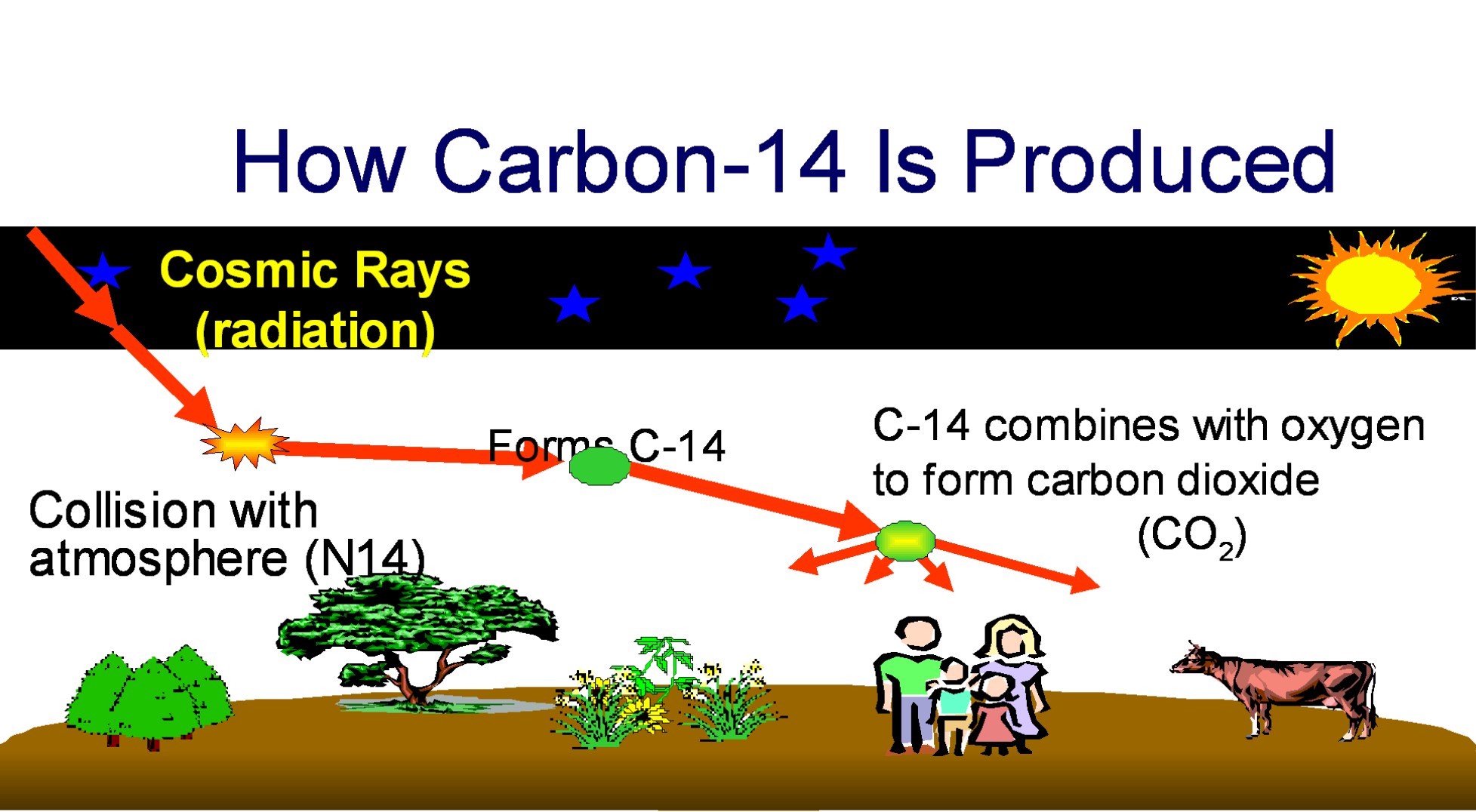 carbon dating higher chemistry